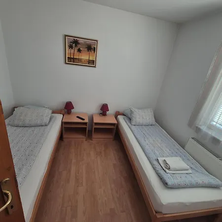 Vienna Zajecar