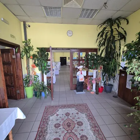 Vienna Zajecar